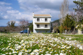 Aliki`s Luxury Suite with view, pet friendly!